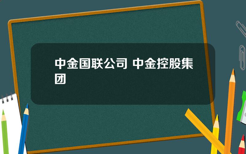 中金国联公司 中金控股集团